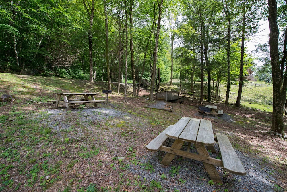BBQ/picnic area