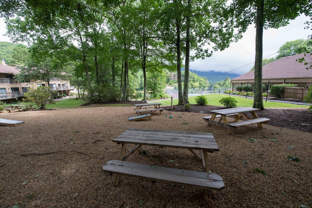 BBQ/picnic area