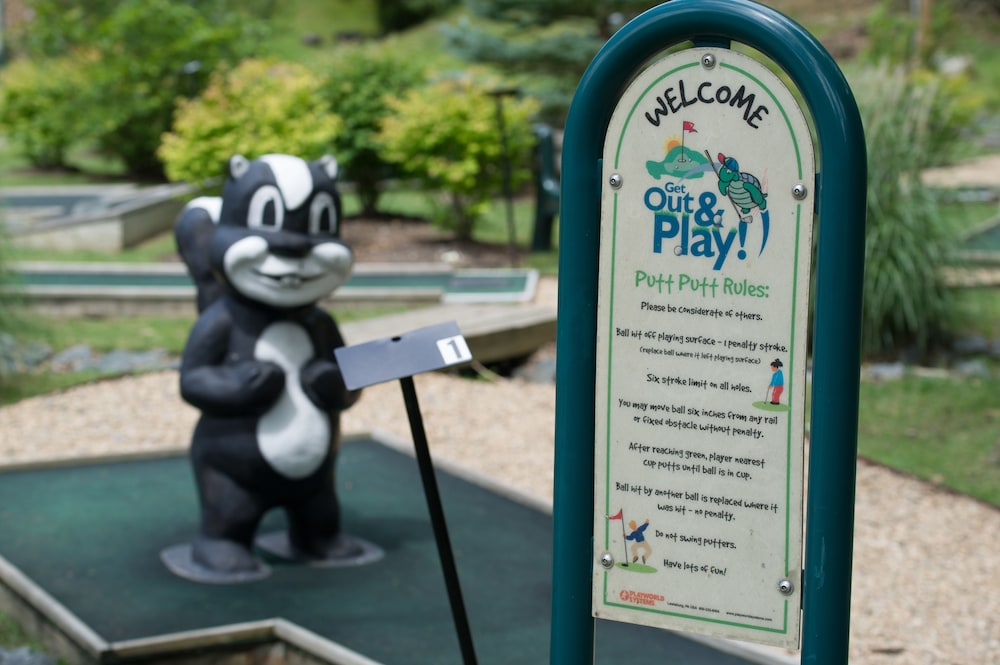 Mini-golf