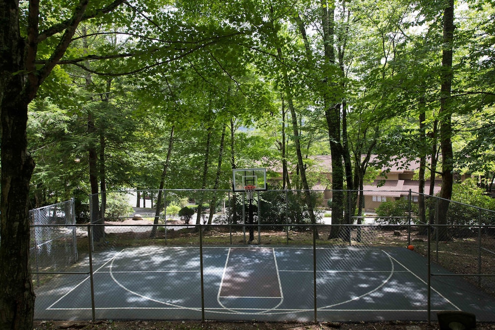 Basketball court