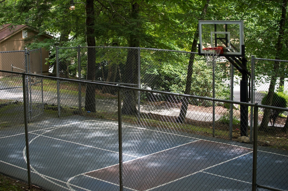 Basketball court