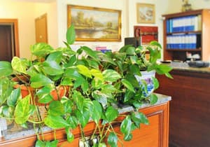 thumbnail: General view