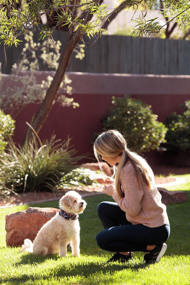 Pet-friendly