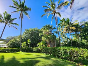 thumbnail: Garden view