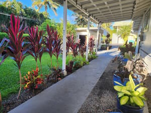 thumbnail: Exterior