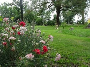 thumbnail: Garden