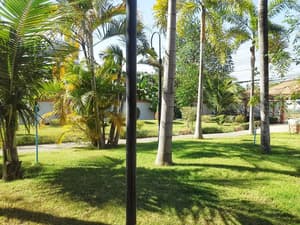 thumbnail: Garden