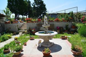 thumbnail: General view