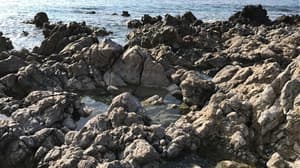 thumbnail: General view