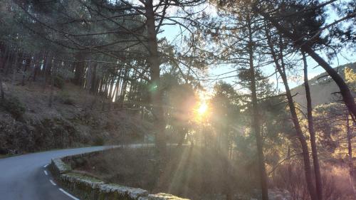 826879494.jpg