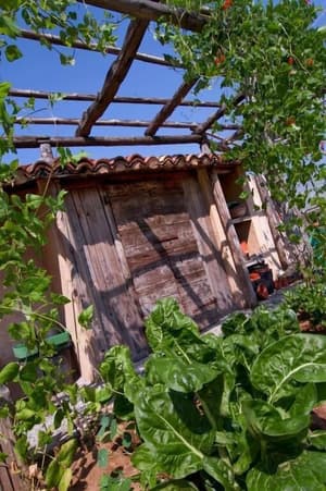 thumbnail: Garden