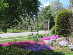 thumbnail: General view