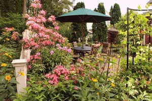 thumbnail: General view