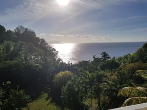 thumbnail: General view
