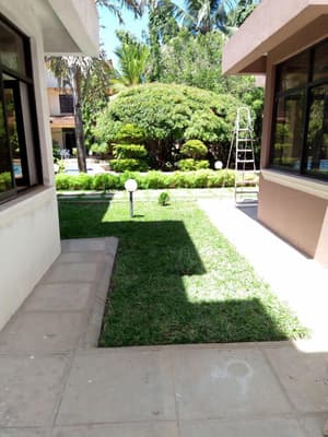 thumbnail: Garden