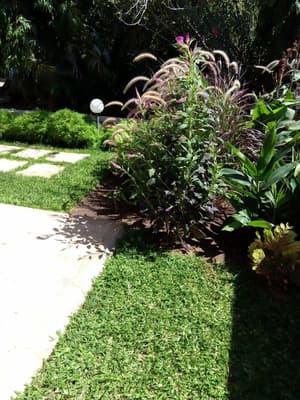 thumbnail: Garden