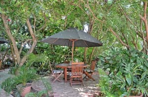 thumbnail: Garden