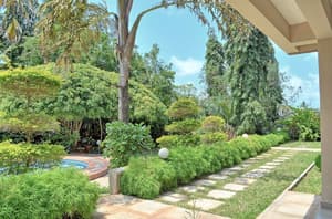 thumbnail: Garden