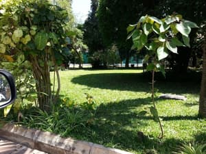 thumbnail: Property grounds