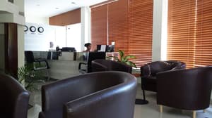 thumbnail: Reception