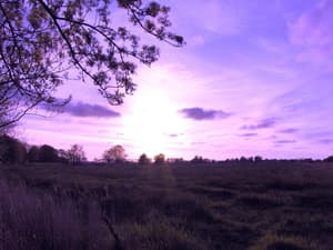 thumbnail: Property grounds
