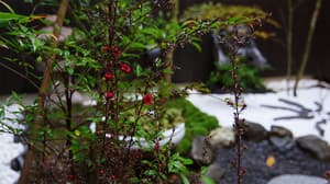 thumbnail: Interior detail