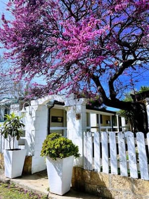 Isola Di Capo Rizzuto thumbnail