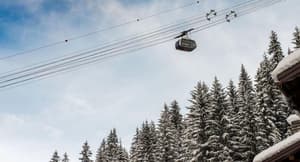 thumbnail: General view