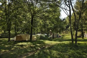thumbnail: Property grounds