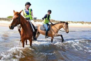 thumbnail: Horseback riding