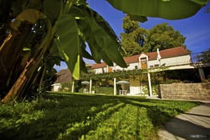 thumbnail: Garden view