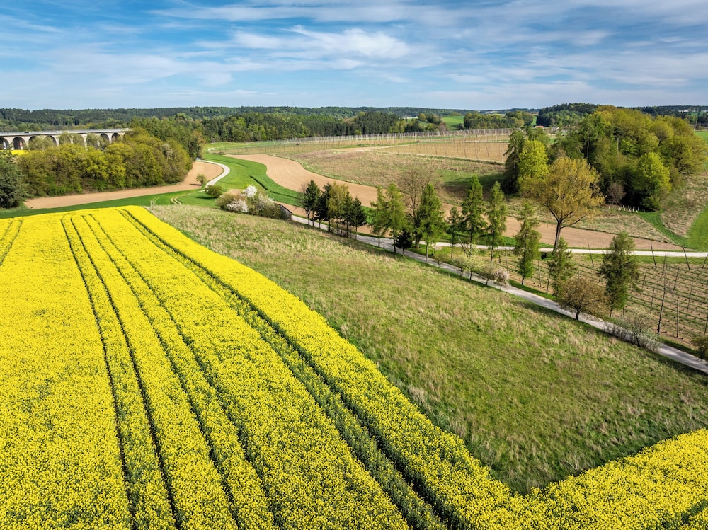 Land view from property