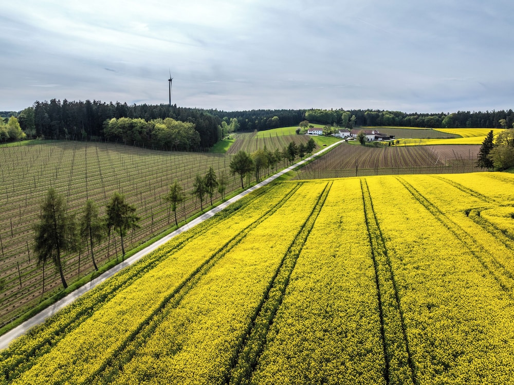 Land view from property