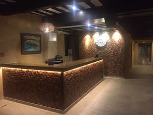 thumbnail: Reception