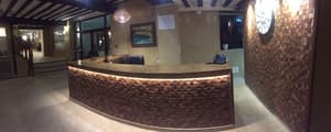 thumbnail: Reception