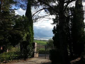 thumbnail: General view