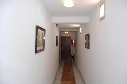 6815113.jpg