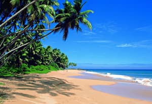 thumbnail: Beach