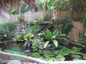 thumbnail: Garden