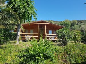 thumbnail: Terrace/patio