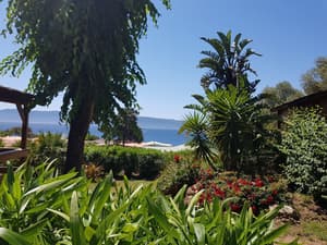 thumbnail: Reception