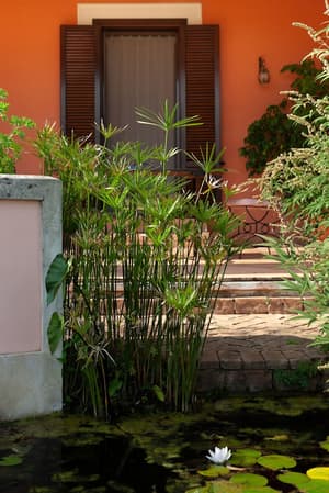 thumbnail: Garden view
