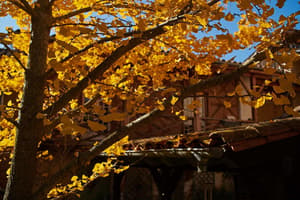 thumbnail: Exterior