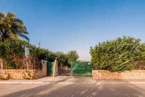 thumbnail: Street view