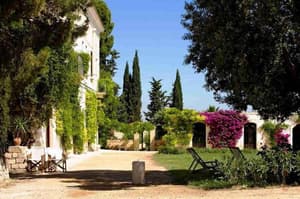 thumbnail: General view