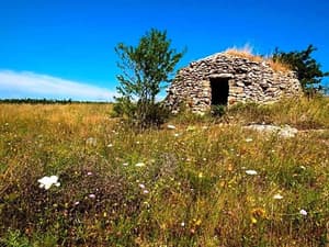 thumbnail: General view