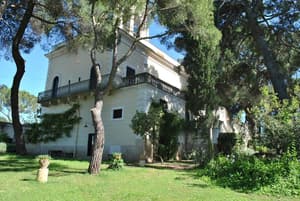 thumbnail: General view