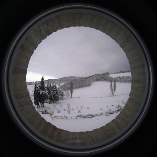 423981140.jpg