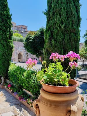 thumbnail: Terrace/patio