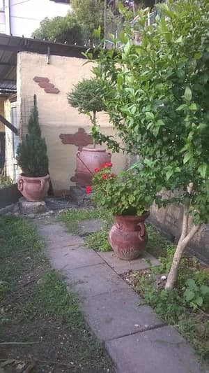 thumbnail: Garden